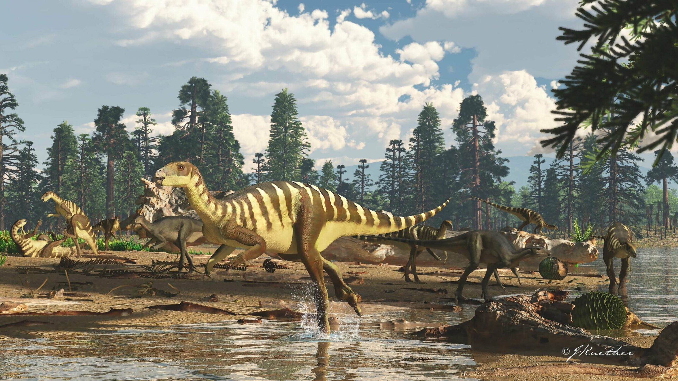 Galleonosaurus-dorisae