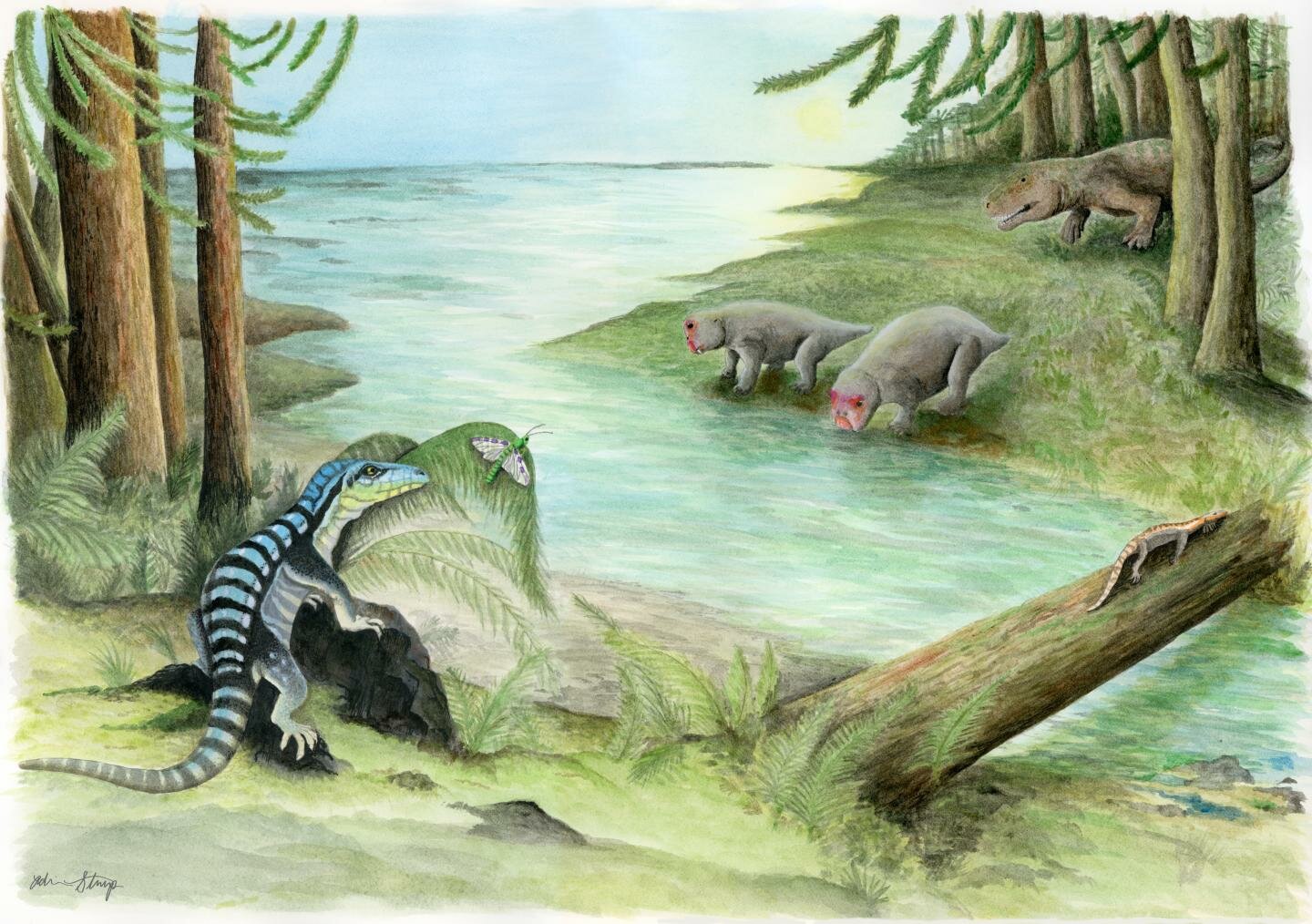 iguanasizedd