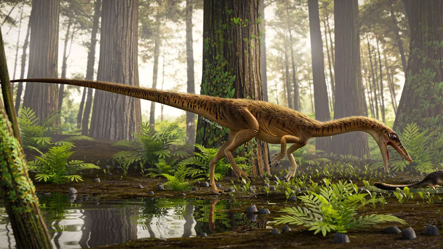 Novo antepassado do Tiranossauro Rex e do Velociraptor é encontrado no Rio Grande do Sul