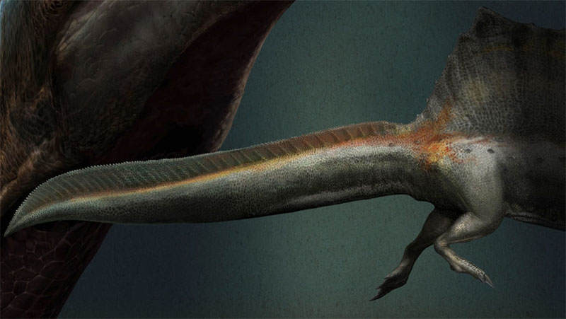 Espinossauro_dinossauro