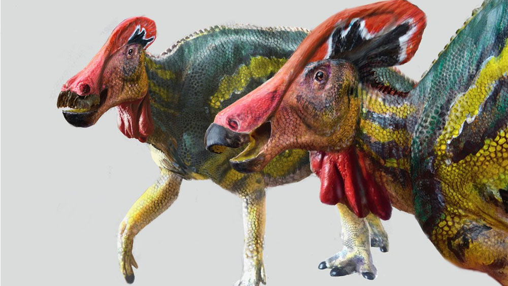 Paleontólogos encontram nova espécie de dinossauro no México