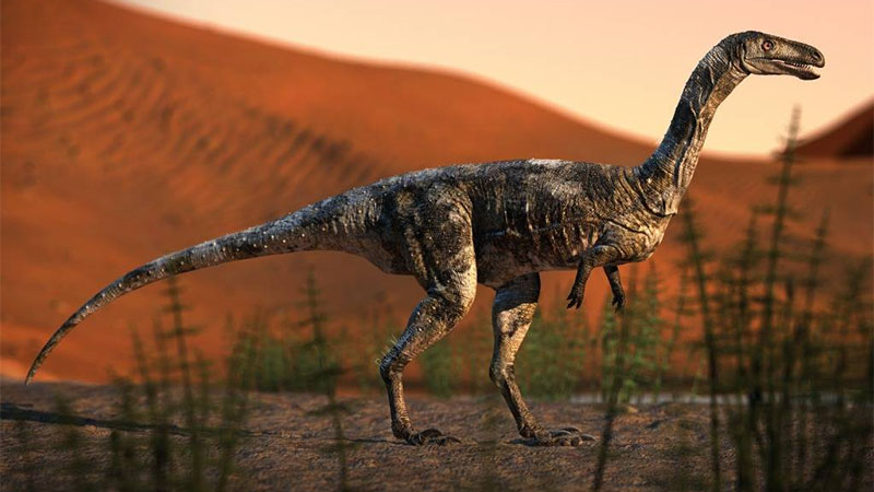 Pesquisadores anunciam descoberta de dinossauro carnívoro que viveu no Paraná à 90 milhões de anos