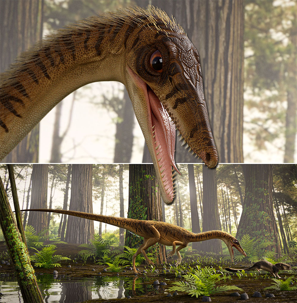 cacador_do_rio_vermelho