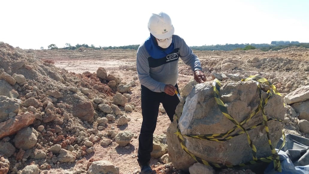 Empresa de mineração encontra fósseis de dinossauros de 70 milhões de anos
