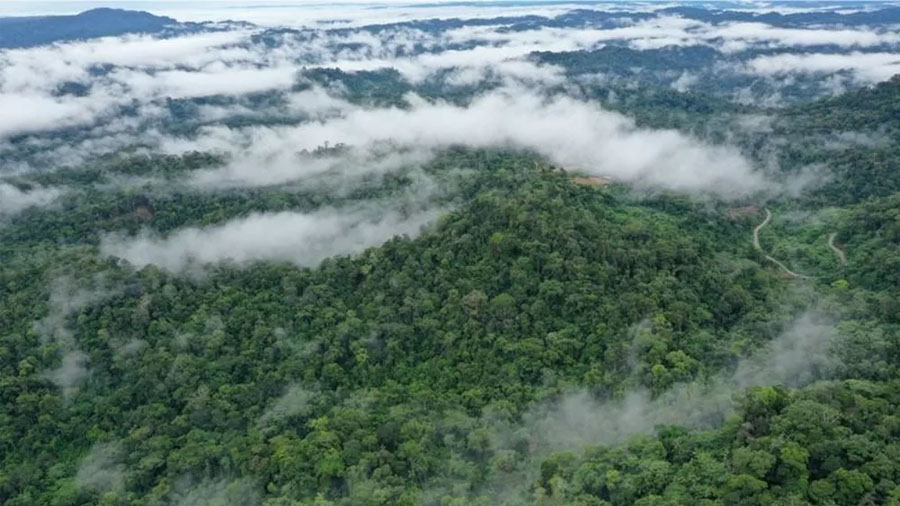 Asteroide que causou extinção dos dinossauros ajudou a criar à Floresta Amazônica