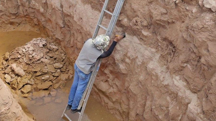 Fósseis de dinossauros são encontrados durante obras no interior de São Paulo