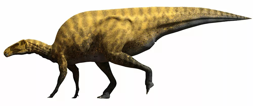 Portellsaurus sosbaynati