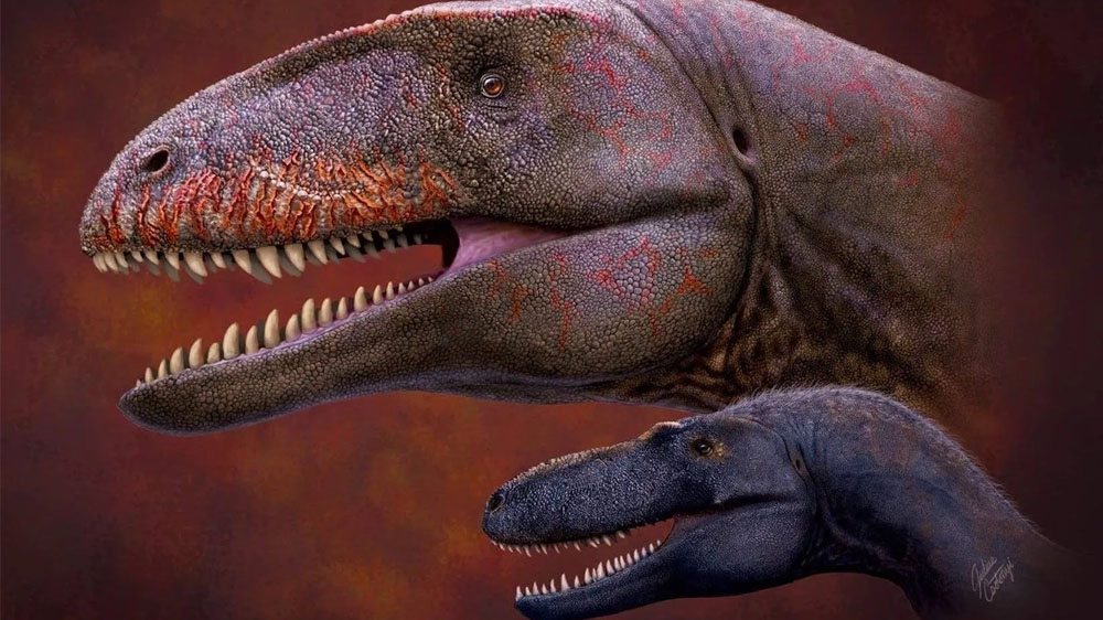 Cientistas descobrem nova espécie de dinossauro carnívoro maior e mais mortal que o Tiranossauro Rex