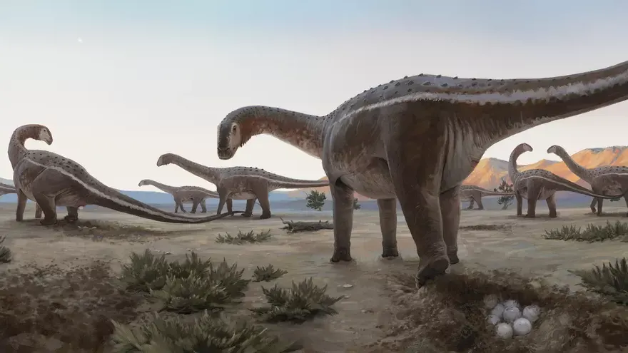 Pesquisadores encontram primeiro ninhal de dinossauro no Brasil