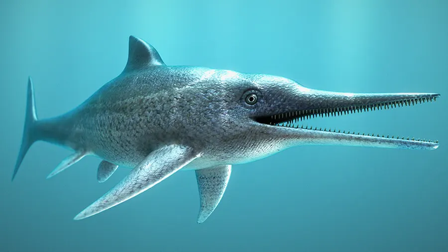 Fóssil de Ictiossauro com embriões em seu interior é encontrado na Patagônia