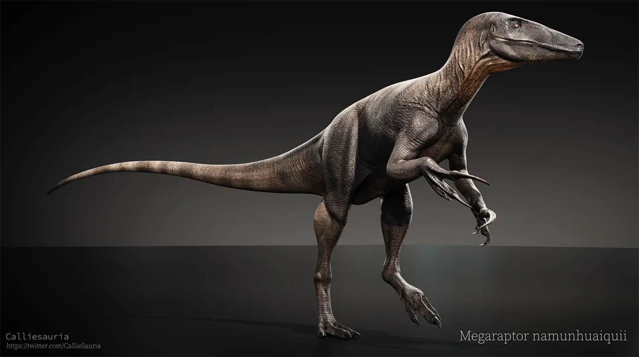 Megaraptor