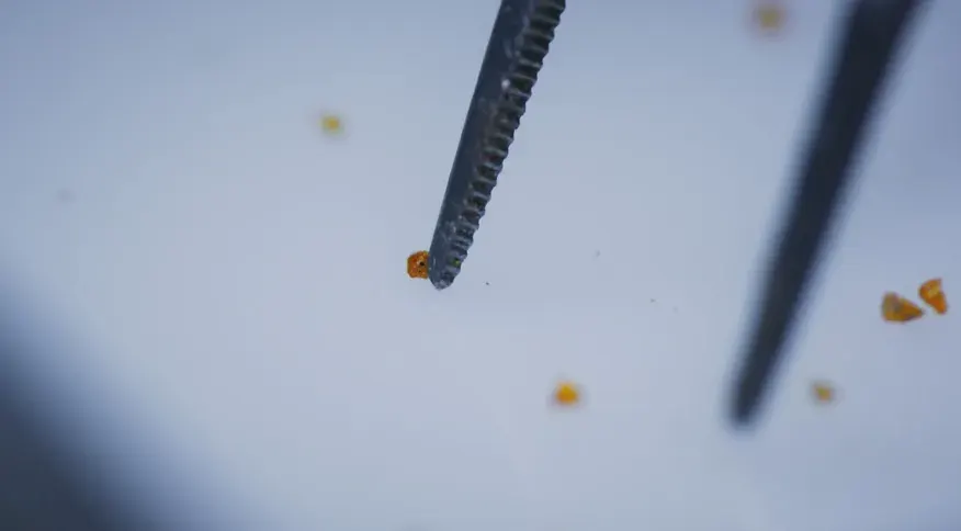 detritos_asteroide_extincao_dinossauros