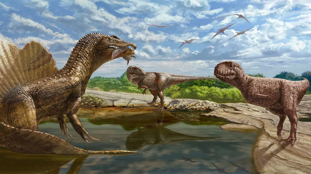 Pesquisadores encontram pela primeira vez fóssil de abelissaurídeos no Deserto do Saara