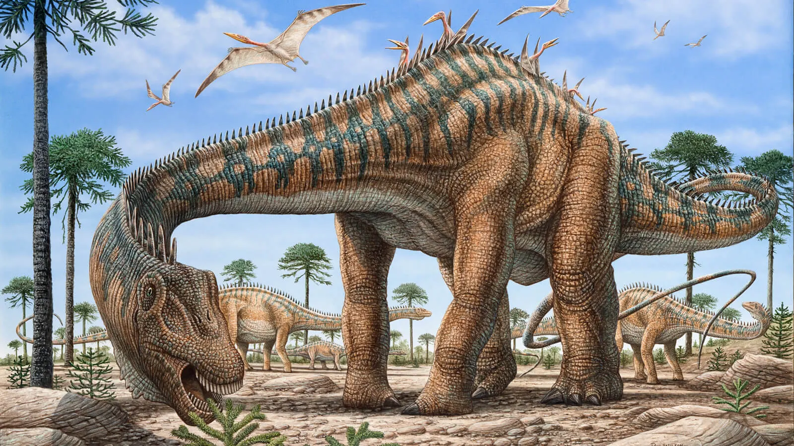 Sauropodes_Almofadas_patas