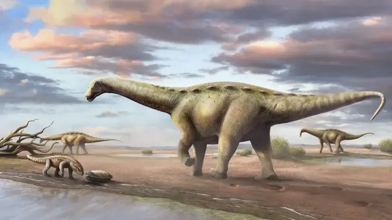 Pesquisadores brasileiros encontram nova espécie de dinossauro anão no país