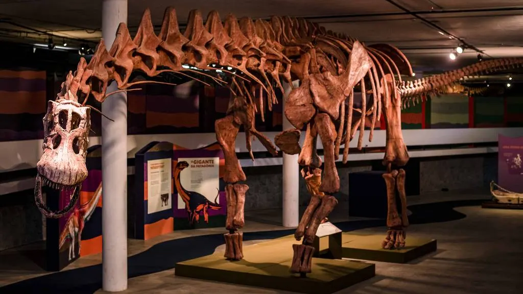 Maior dinossauro já encontrado no mundo ganha exposição em São Paulo