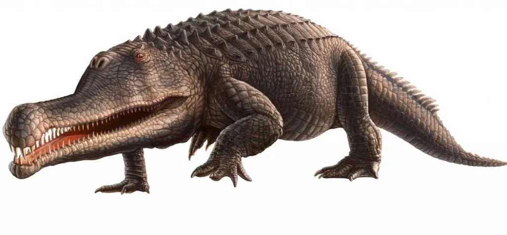 fitossauro