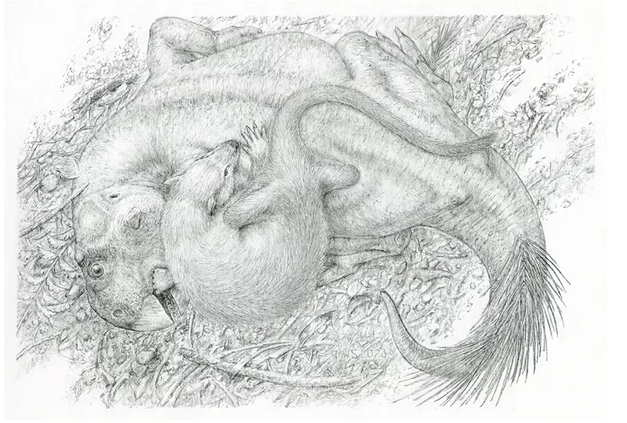 fóssil Psitacosaurus e Repenomamus