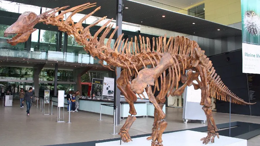 Índia revela fóssil do dinossauro herbívoro mais antigo do mundo