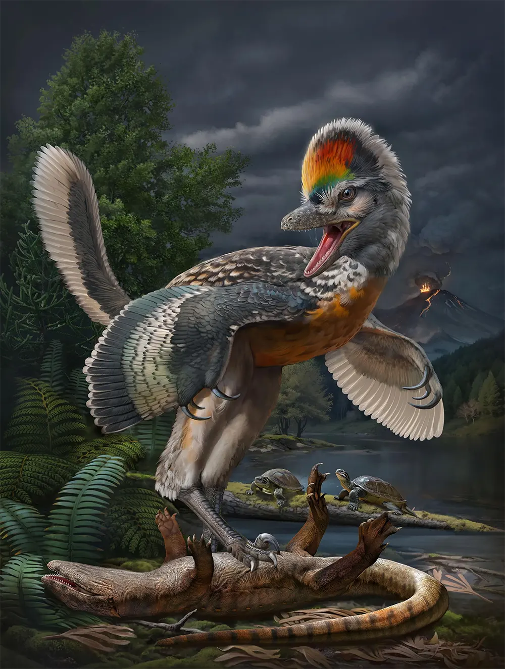 Fujianvenator prodigiosus