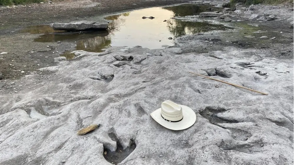 Seca extrema revela pegadas de dinossauros de 113 milhões nos EUA