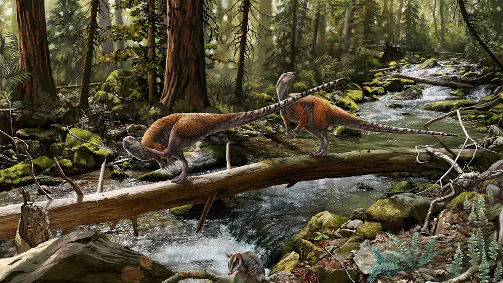 Vectidromeus insularis