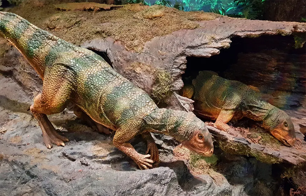 Reprodução artística do Ampelognathus coheni