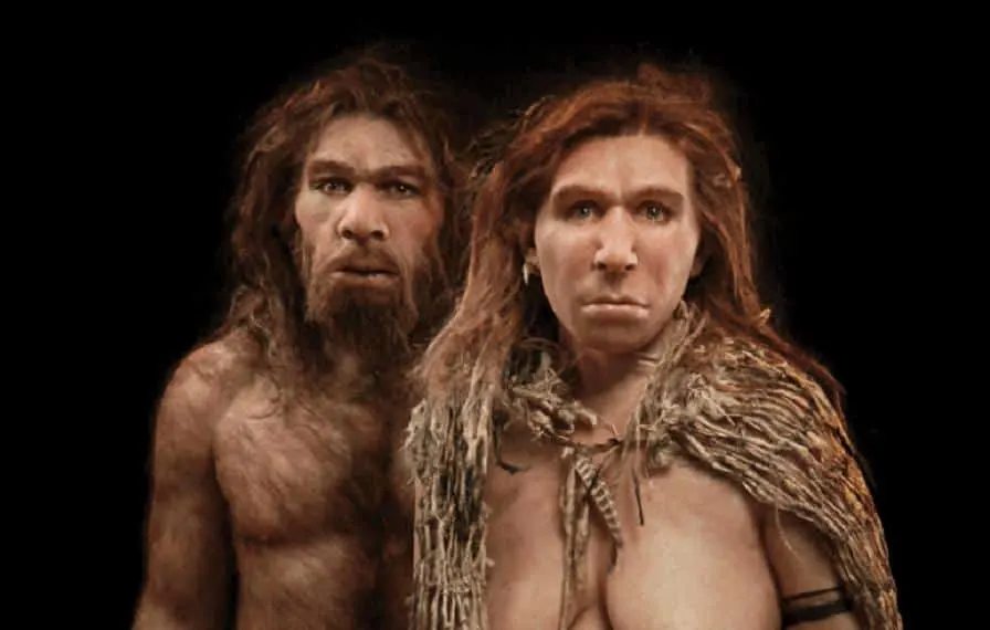 neandertais