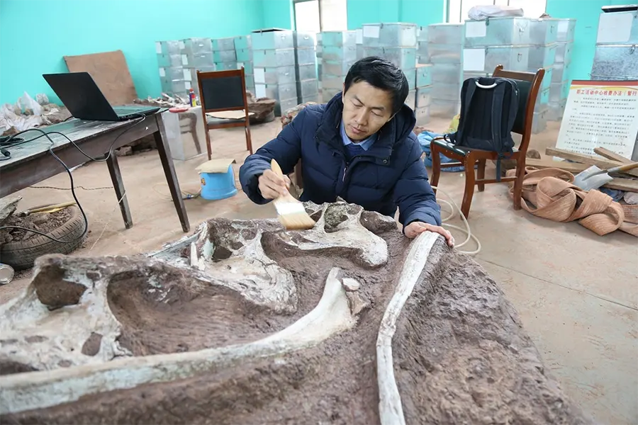 fóssil Gandititan cavocaudatus2