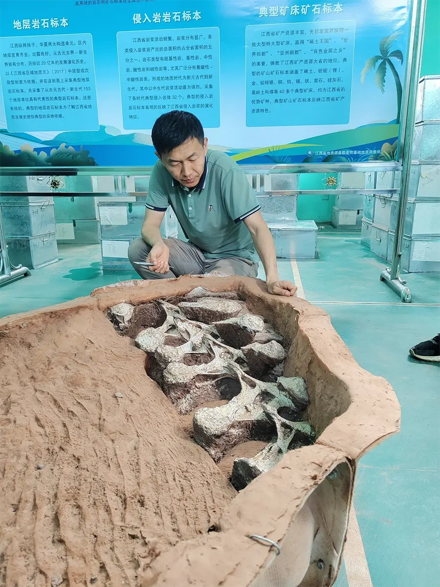 fóssil Gandititan cavocaudatus