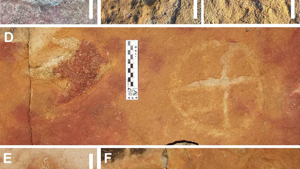Descoberta de petroglifos e pegadas de dinossauros em sítio arqueológico brasileiro revela antiga relação entre humanos e fósseis