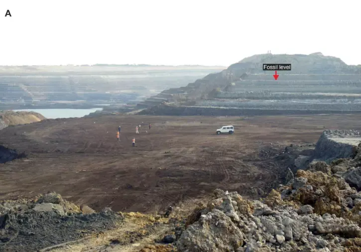 local onde foram encontrado os restos fósseis da Vasuki Indicus