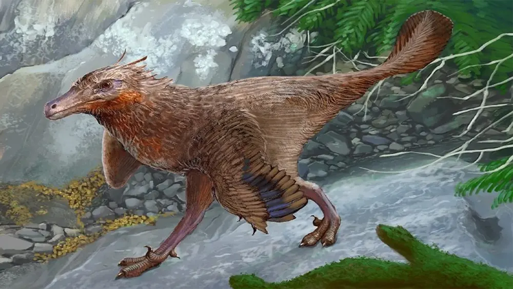 Pesquisadores descobrem fóssil de antigo ancestral das aves no sul da Argentina