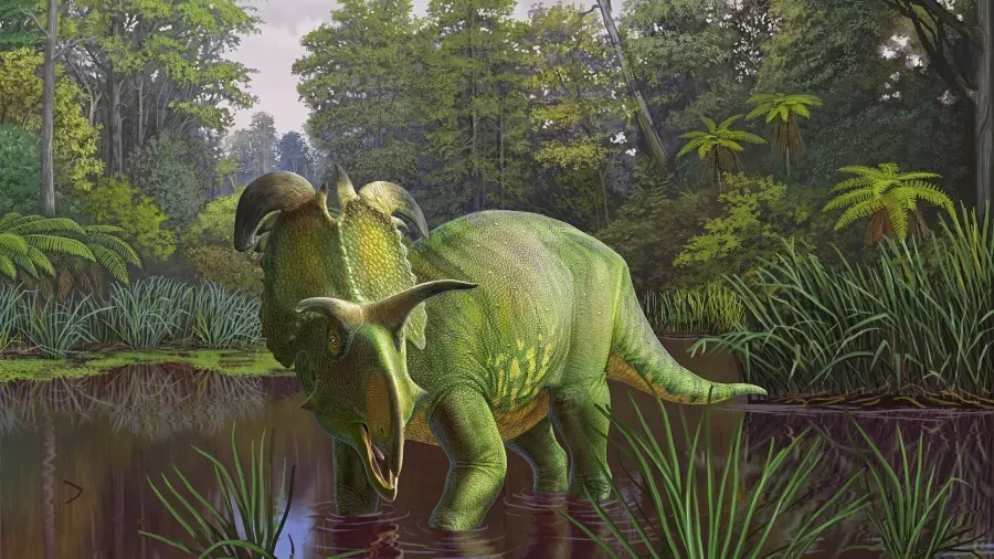 Nova espécie de dinossauro com chifres gigantes é batizada em homenagem ao deus nórdico Loki