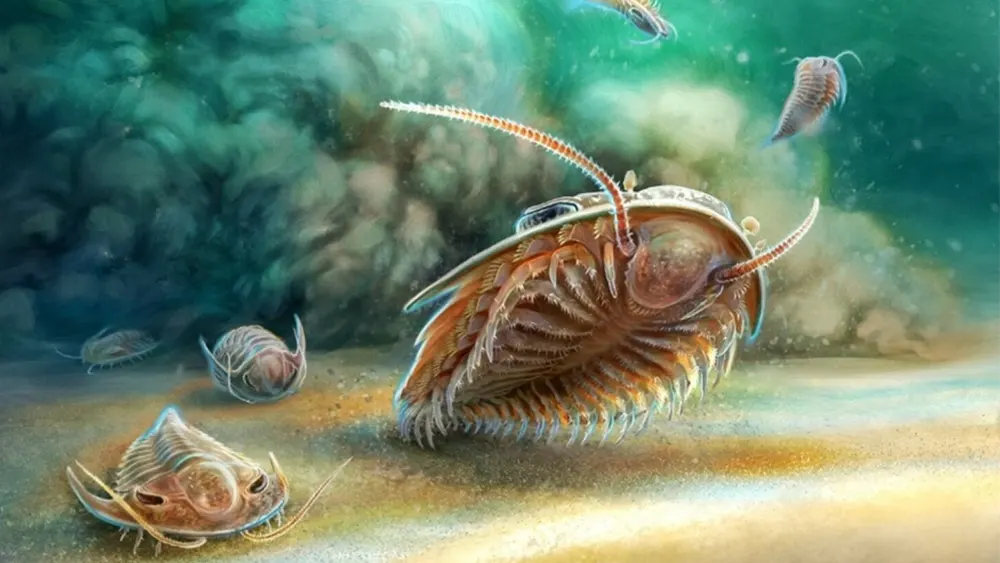 Cientistas revelam os fósseis de trilobitas mais bem preservados já encontrados