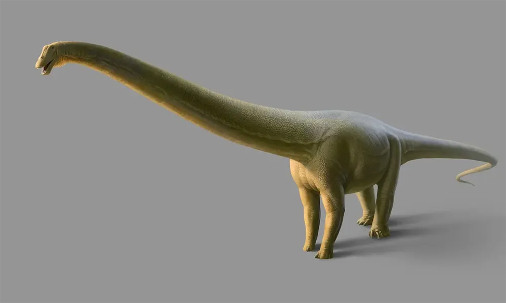 Reprodução artística do Gnatalie