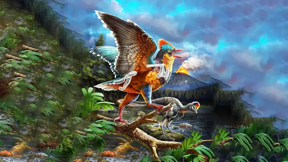 Descoberta de fóssil na China muda a história da evolução das aves