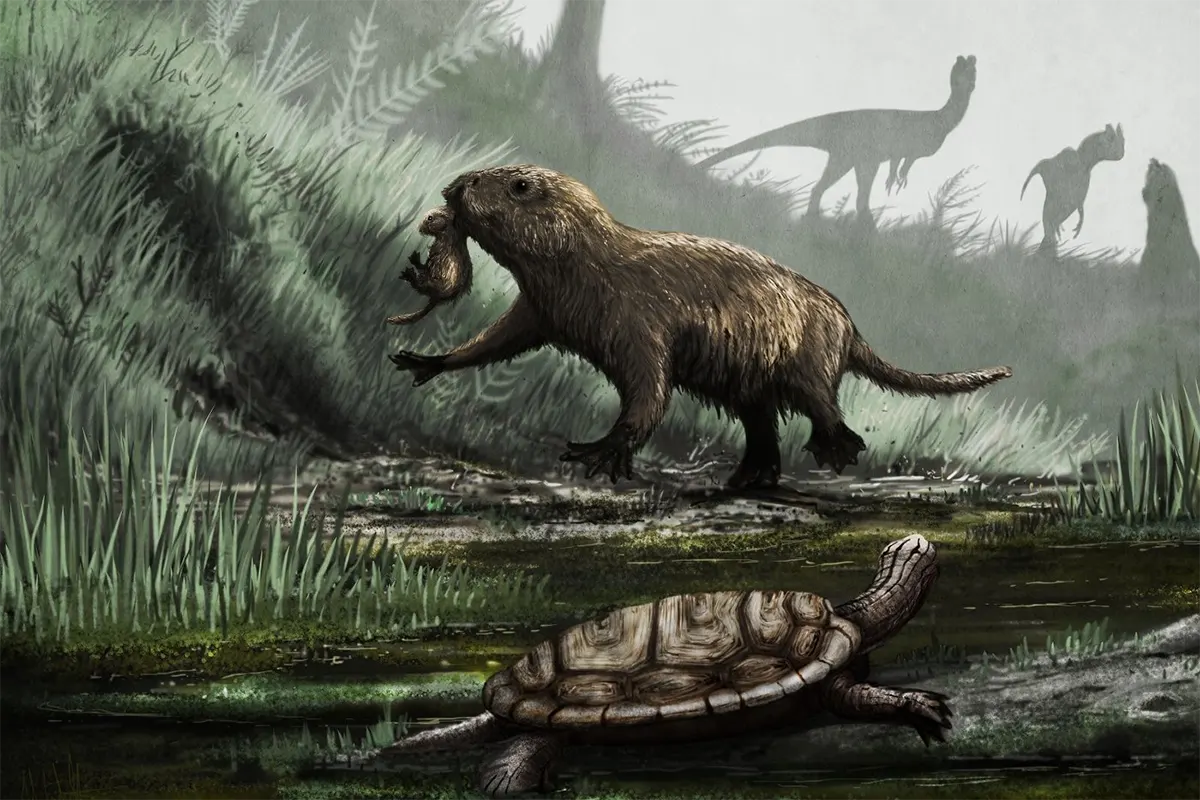 Dinossauros e mamiferos