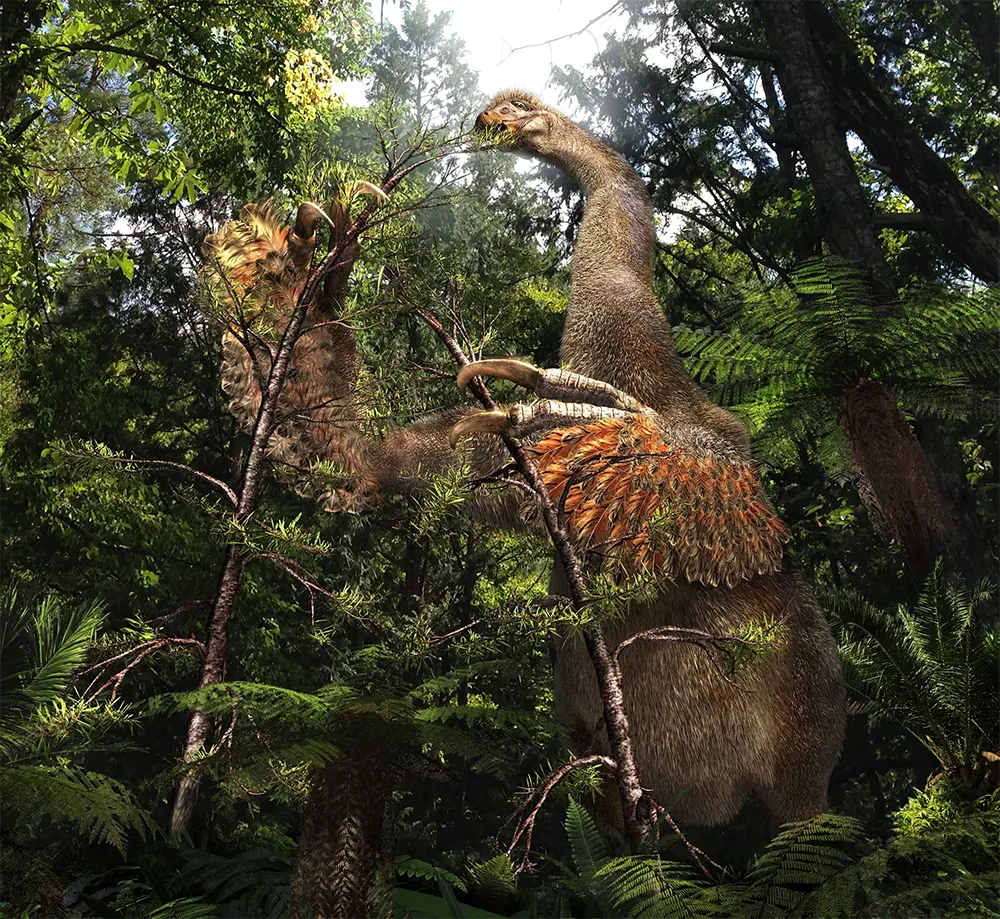 Duonychus tsogtbaatari