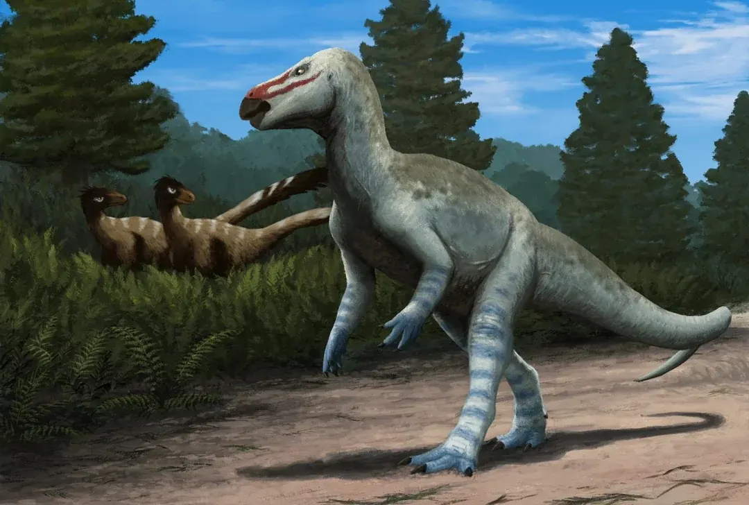 Obelignathus septimanicus