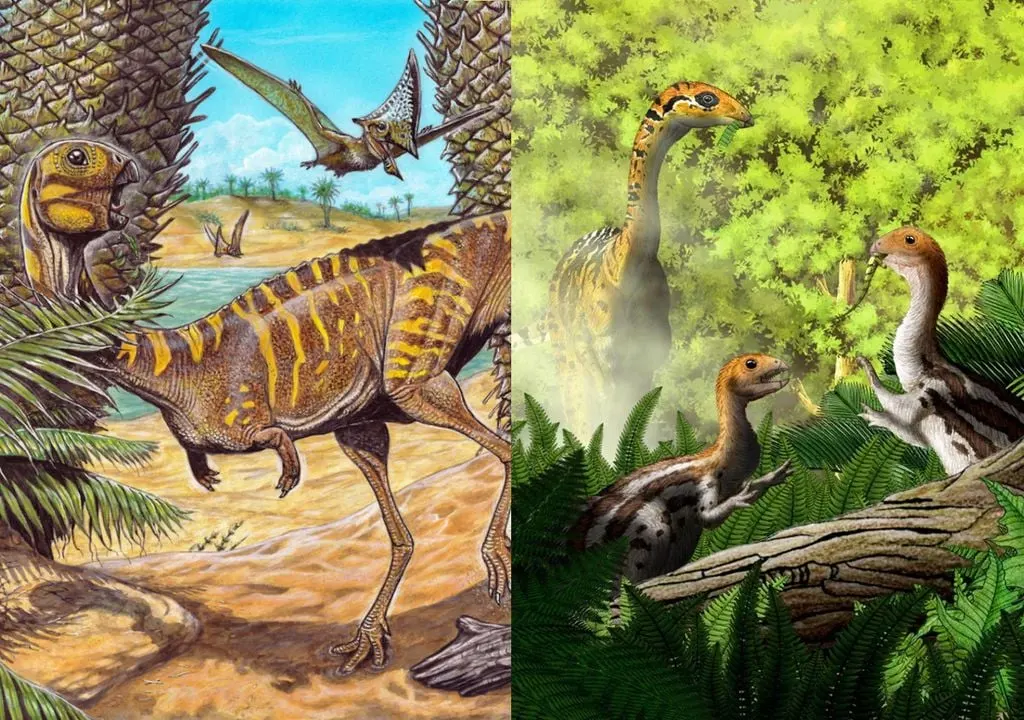 Artes conceituais do brasileiro Berthasaura leopoldinae (esquerda) e o Limusaurus inextricabilis (direita)