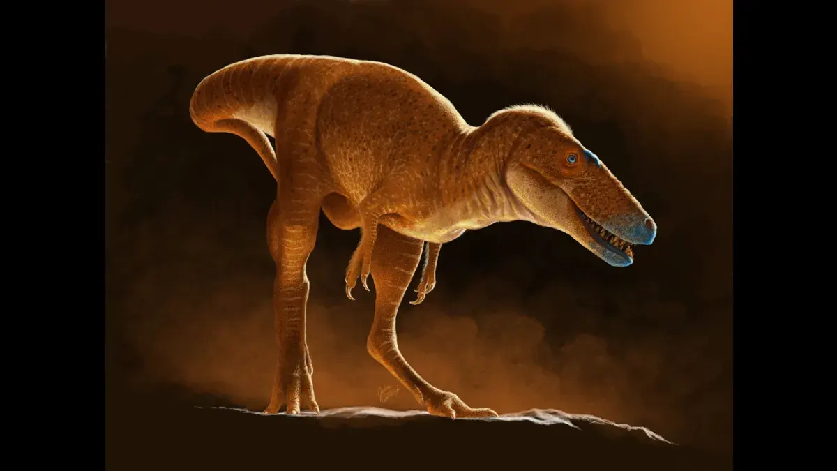 Pesquisadores descobrem na Mongólia um novo ancestral do Tiranossauro rex