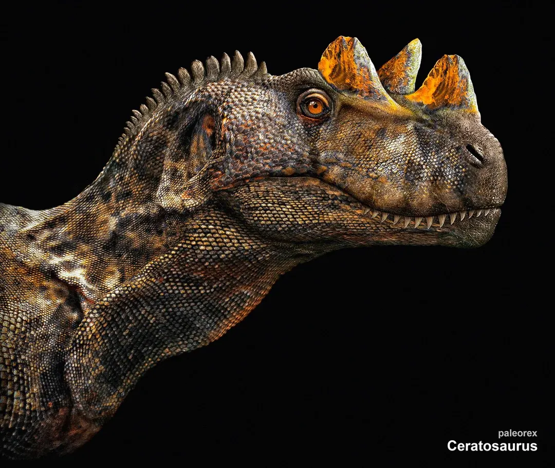 ceratosaurus