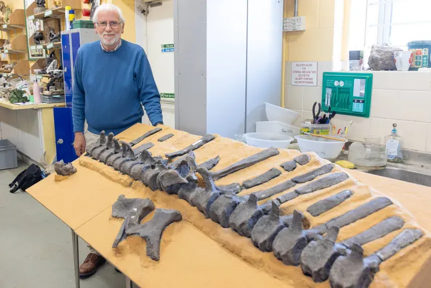 Jeremy Lockwood e fosseis do Istiorachis macarthurae