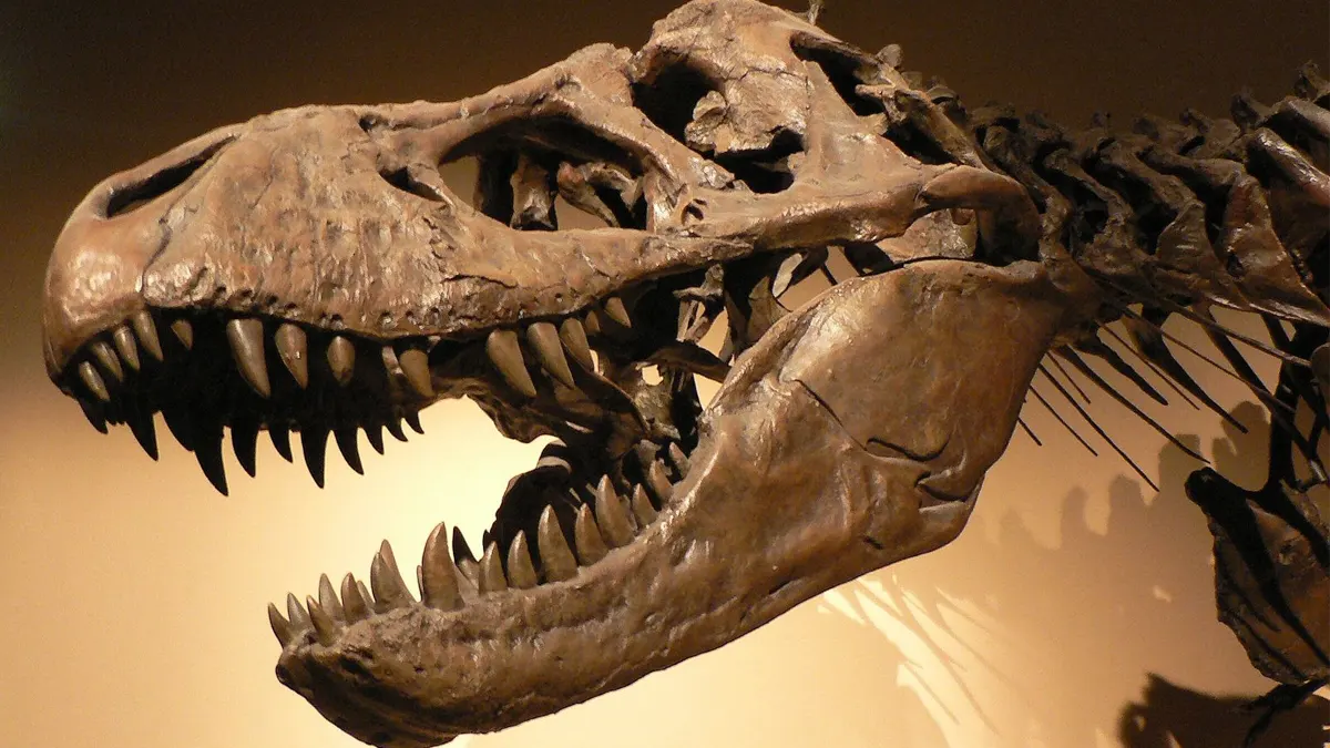 dentes de dinossauro e clima na terra
